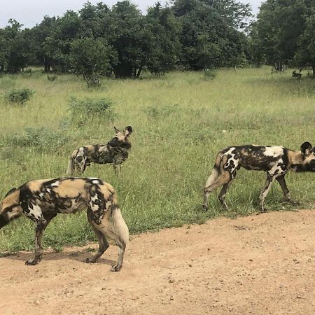 Marula Lodge Mfuwe Buitenkant foto
