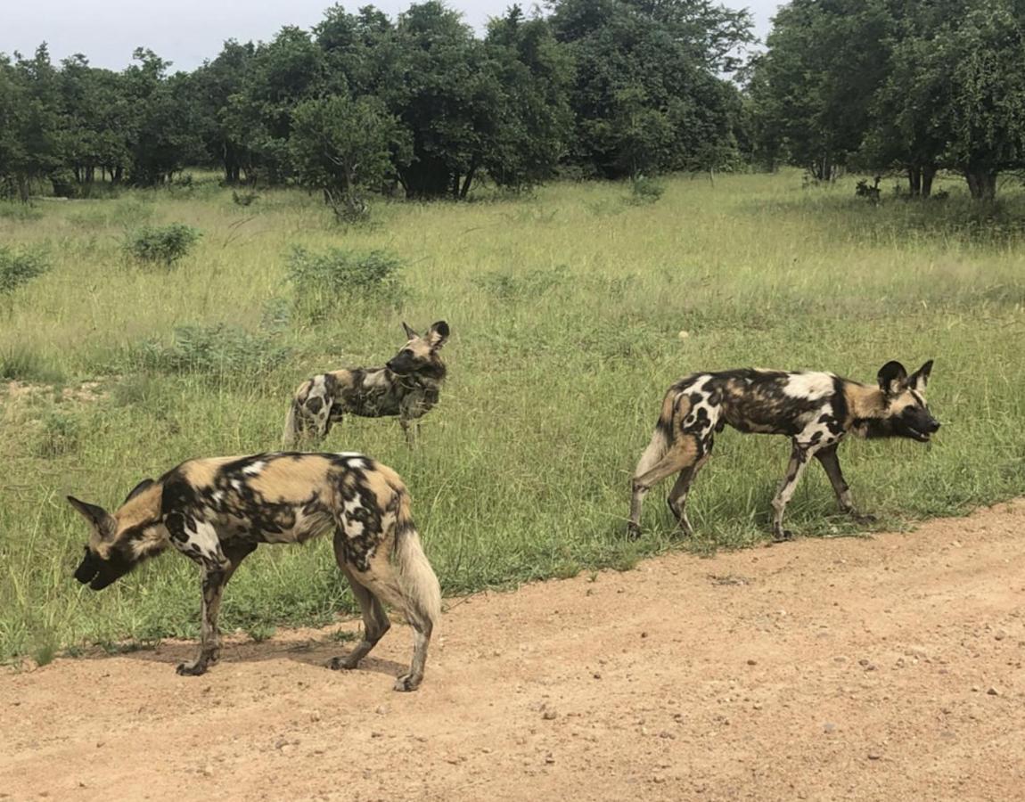 Marula Lodge Mfuwe Buitenkant foto